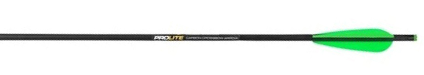 Стрела TENPOINT Мод. PRO LITE CARBON 20" — купить в Алматы доставка по Казахстану