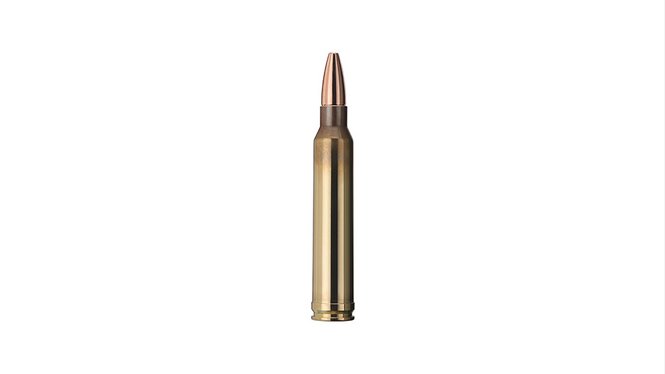 Купить Патрон для нарезного оружия GECO (.300 Win.Mag.) Plus (170grs)(11,0г) в Алматы | Казахстан | Корган Центр