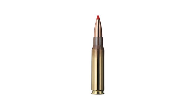 Купить Патрон для нарезного оружия GECO (.308 Win.) Express (165grs)(10,7г) в Алматы | Казахстан | Корган Центр