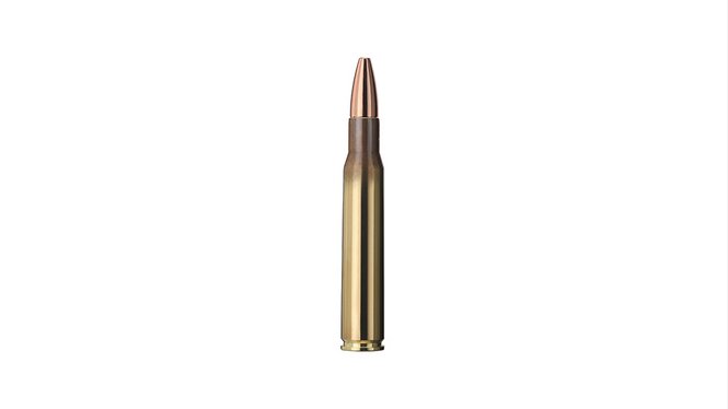 Купить Патрон для нарезного оружия GECO (.30-06 Sprg.) Plus (170grs)(11,0г) в Алматы | Казахстан | Корган Центр
