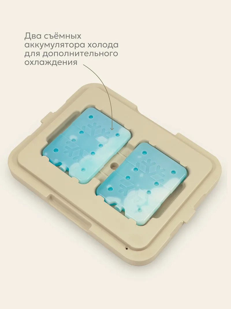 Изотермический контейнер тм "Арктика", 26 л, арт. 2200-26 — портативный холодильник или кулер для кемпинга в Алматы