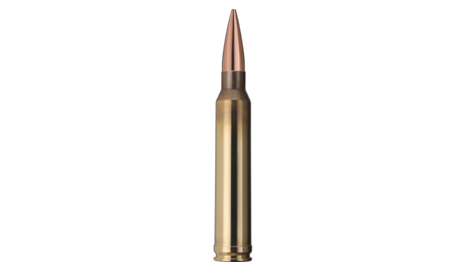 Купить Патрон для нарезного оружия GECO (.300 Win.Mag.) Target HP (190grs)(12,3г) в Алматы | Казахстан | Корган Центр