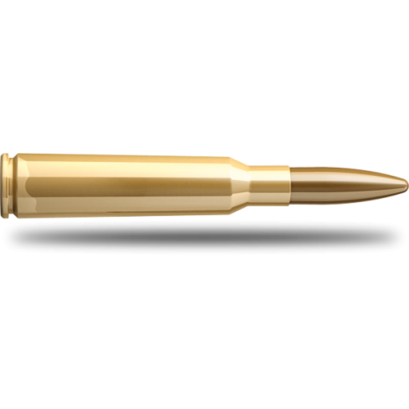Купить Патрон для нарезного оружия S&B (6,5x55 SE)(FMJBT-2905)(140grs)(9,1г) в Алматы | Казахстан | Корган Центр
