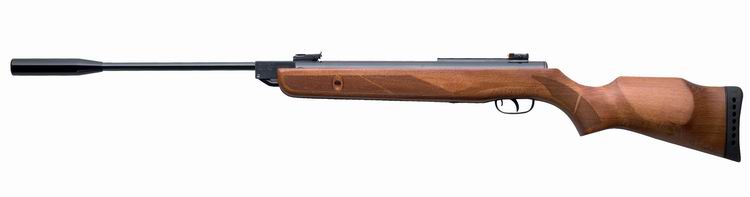 Пневматическая винтовка GAMO Мод. HUNTER-1250 — для спортивных организаций, купить в Алматы, доставка по Казахстану