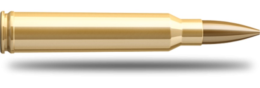 Купить Патрон для нарезного оружия S&B (.308 Win.)(HPBT-OTM-2881)(180grs)(11,7г) в Алматы | Казахстан | Корган Центр