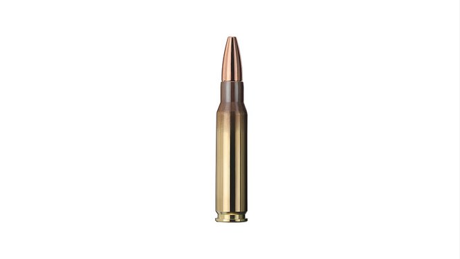 Купить Патрон для нарезного оружия GECO (.308 Win.) Plus (170grs)(11,0г) в Алматы | Казахстан | Корган Центр