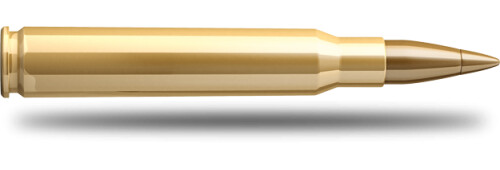 Купить Патрон для нарезного оружия S&B (.30-06 Sprg.)(HPC-2983)(180grs)(11,7г) в Алматы | Казахстан | Корган Центр