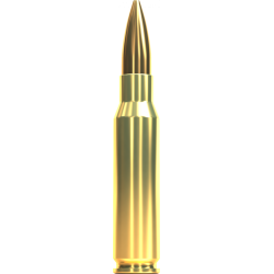 Купить Патрон для нарезного оружия S&B (.308 Win.)(HPBT-2210)(190grs)(12,3г) в Алматы | Казахстан | Корган Центр