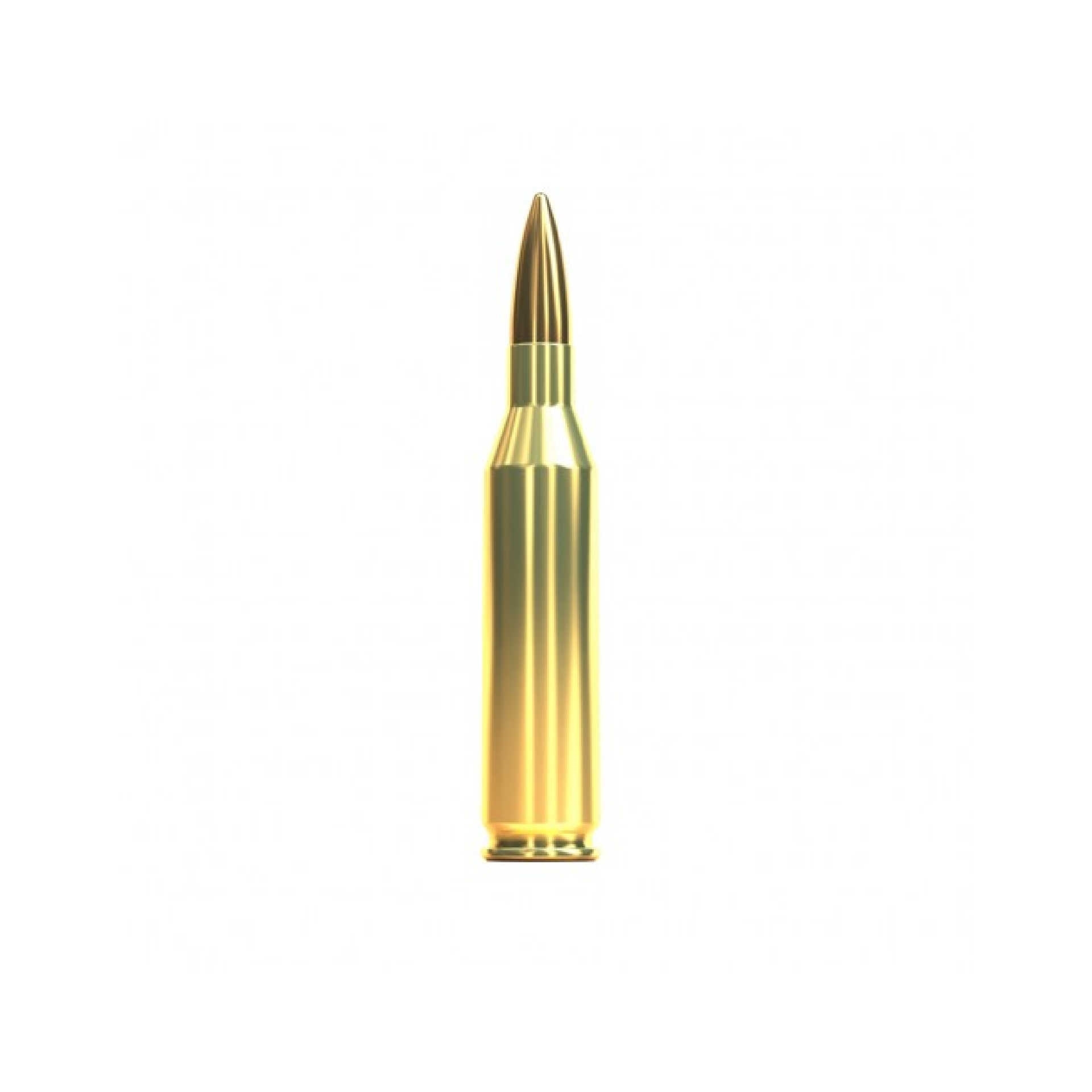 Купить Патрон для нарезного оружия S&B (.243 Win.)(FMJ-2430)(80grs)(5,2г) в Алматы | Казахстан | Корган Центр