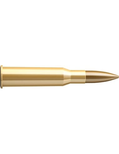 Купить Патрон для нарезного оружия S&B (7,62x54R)(FMJ-2909)(180grs)(11,7г) в Алматы | Казахстан | Корган Центр