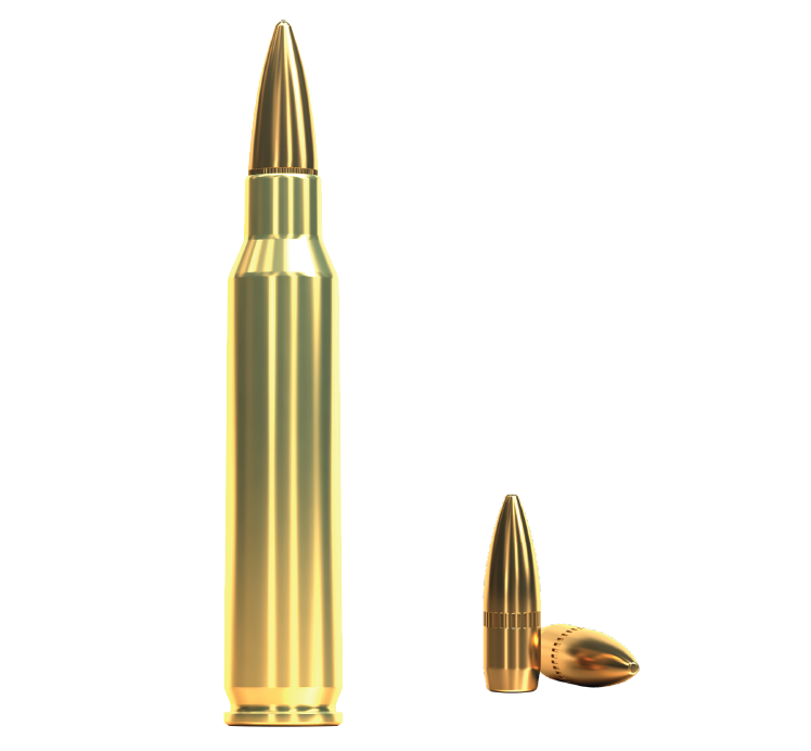 Купить Патрон для нарезного оружия S&B (.223 Rem.)(FMJ-2903)(55grs)(3,6г) в Алматы | Казахстан | Корган Центр