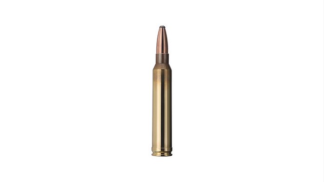 Купить Патрон для нарезного оружия GECO (.300 Win.Mag.) SP (170grs)(11,0г) в Алматы | Казахстан | Корган Центр