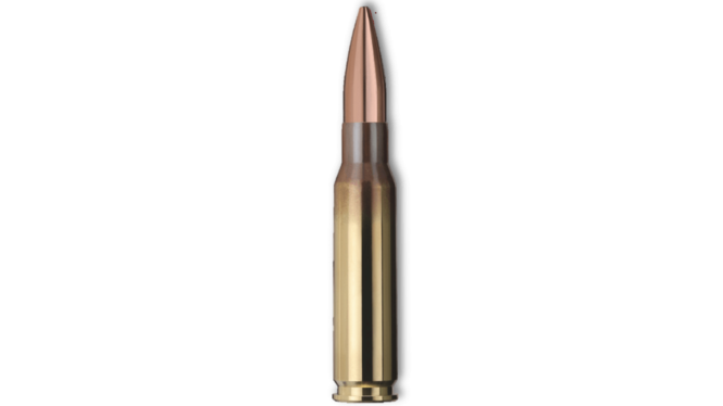 Купить Патрон для нарезного оружия GECO (.308 Win.) Target HP (168grs)(10,9г) в Алматы | Казахстан | Корган Центр