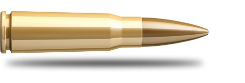 Купить Патрон для нарезного оружия S&B (7,62x39)(FMJ-2907)(124grs)(8,0г) в Алматы | Казахстан | Корган Центр