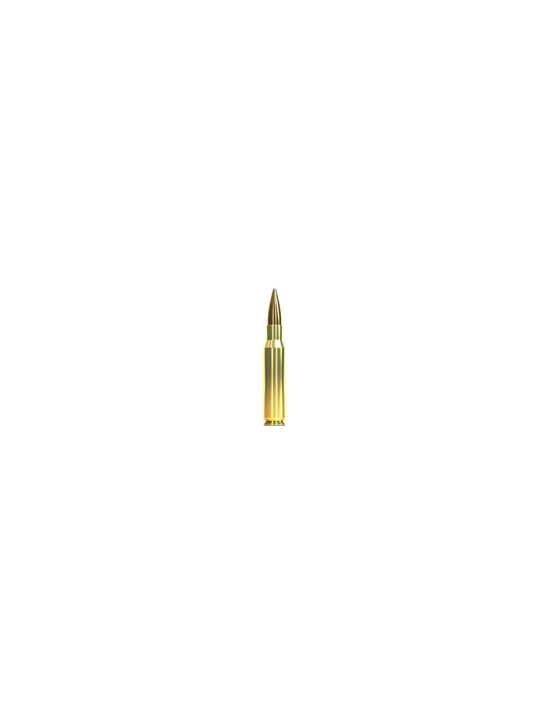 Купить Патрон для нарезного оружия S&B (.308 Win.)(FMJ-2957)(180grs)(11,7г) в Алматы | Казахстан | Корган Центр