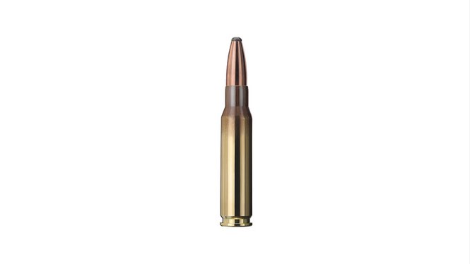 Купить Патрон для нарезного оружия GECO (.308 Win.) SP (170grs)(11,0г) в Алматы | Казахстан | Корган Центр