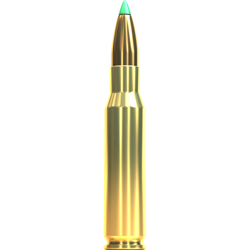 Купить Патрон для нарезного оружия S&B (.308 Win.)(PTS-30702)(180grs)(11,7г) в Алматы | Казахстан | Корган Центр