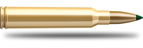 Купить Патрон для нарезного оружия S&B (.300 Win.Mag.)(PTS-30702)(180grs)(11,7г) в Алматы | Казахстан | Корган Центр