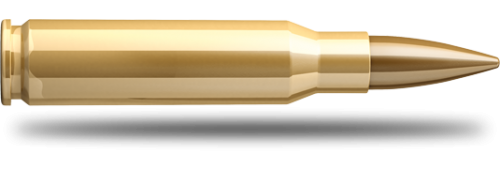 Купить Патрон для нарезного оружия S&B (.308 Win.)(FMJ-2908)(147grs)(9,55г) в Алматы | Казахстан | Корган Центр