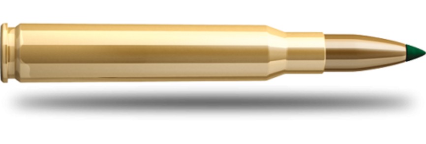 Купить Патрон для нарезного оружия S&B (.30-06 Sprg.)(PTS-30702)(180grs)(11,7г) в Алматы | Казахстан | Корган Центр