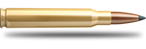 Купить Патрон для нарезного оружия S&B (.308 Win.)(SBT-2160)(180grs)(11,7г) в Алматы | Казахстан | Корган Центр