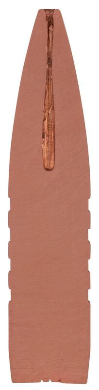 Купить Патрон для нарезного оружия FEDERAL P (.308 Win.) BARNES TRIPLE-SHOCK X (B-TSX)(165grs)(10,69г) в Алматы | Казахстан | Корган Центр