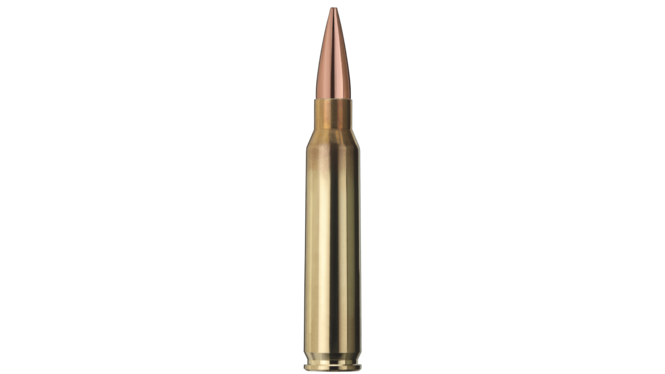 Купить Патрон для нарезного оружия GECO (.223 Rem.) Target HP (52grs)(3,4г) в Алматы | Казахстан | Корган Центр